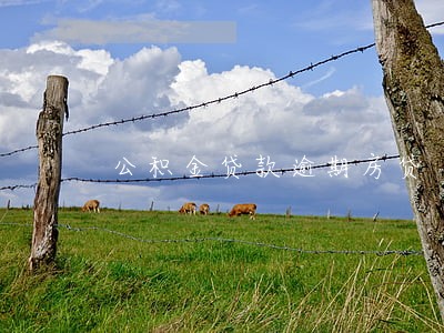 公积金贷款逾期房贷 违约金 公积金贷款逾期房贷 违约金